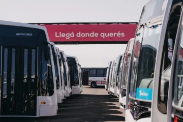 Viajaba en colectivo con 21 porros, el colectivero avisó a la policía y terminó preso Viajaba en colectivo con 21 porros, el colectivero avisó a la policía y terminó preso