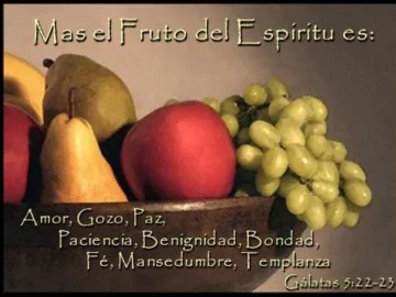 [AUDIO] Reflexión espiritual del miércoles 22 de junio