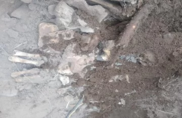 Hallan restos óseos que serían de un hombre e investigan el hecho Hallan restos óseos que serían de un hombre e investigan el hecho