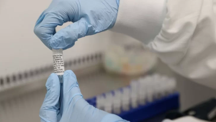 Rusia anunció que tiene desarrolladas 4 vacunas “seguras” contra el coronavirus