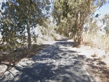 Dos hombres y una mujer sufrieron serias heridas tras chocar en auto contra un árbol Dos hombres y una mujer sufrieron serias heridas tras chocar en auto contra un árbol