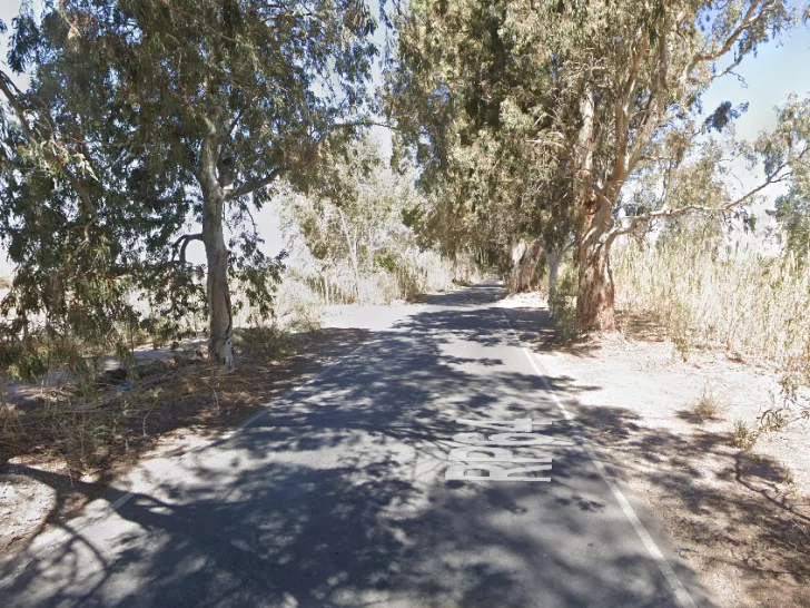 Dos hombres y una mujer sufrieron serias heridas tras chocar en auto contra un árbol Dos hombres y una mujer sufrieron serias heridas tras chocar en auto contra un árbol