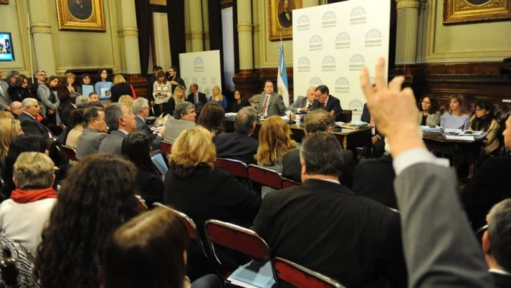 Aborto: sin acuerdo para el dictamen, igual se vota el 8 de agosto Aborto: sin acuerdo para el dictamen, igual se vota el 8 de agosto