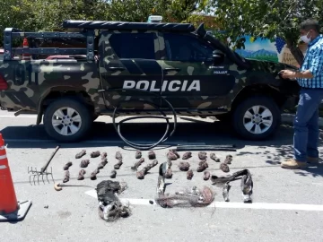 Robaba cables de la red eléctrica a plena luz del día: lo sorprendieron quemándolos Robaba cables de la red eléctrica a plena luz del día: lo sorprendieron quemándolos