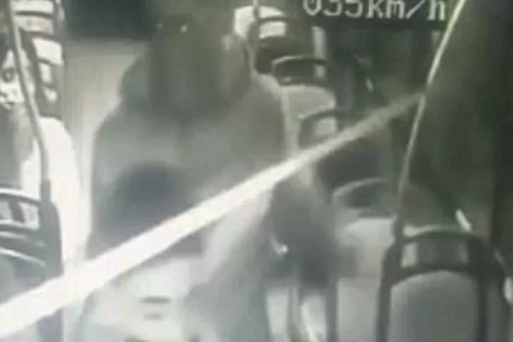 Subieron a un colectivo, golpearon con un arma al chofer y les robaron a dos pasajeras