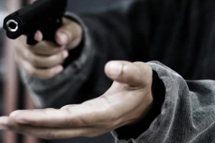 Casi el 60% de los delitos denunciados durante este año fueron robos y hurtos