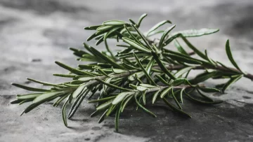 La hierba que todos usamos y es recomendada por Harvad para cuidar la memoria La hierba que todos usamos y es recomendada por Harvad para cuidar la memoria