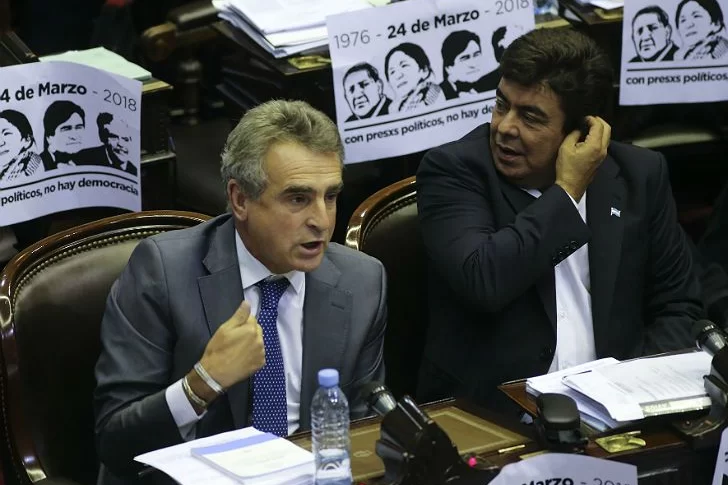 El kirchnerismo quiere derogar el decreto que plantea una reforma en las FFAA