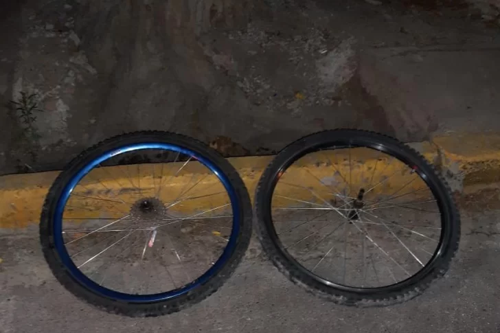 Robó las ruedas de una bicicleta que estaba con candado en pleno Parque de Mayo