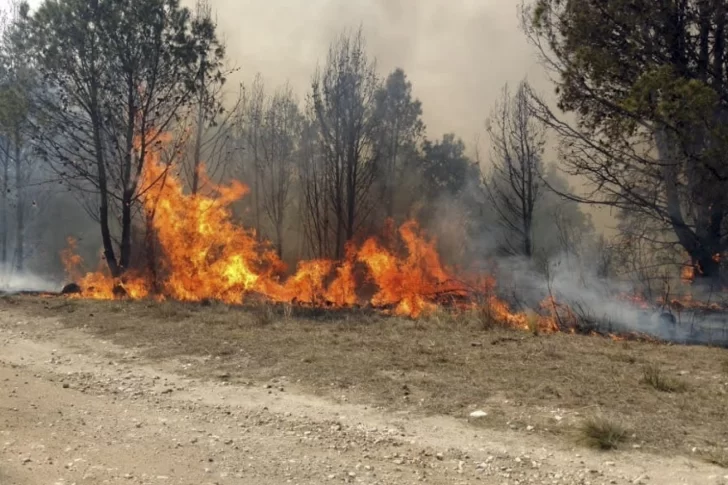 Con 6 focos activos, Salta es ahora la provincia más afectada por los incendios forestales