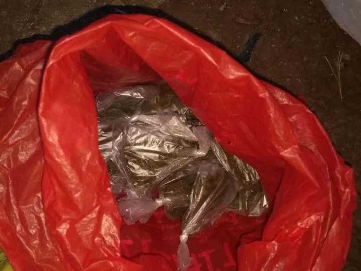 Fueron a buscar muebles robados y encontraron droga, pájaros y hasta armas