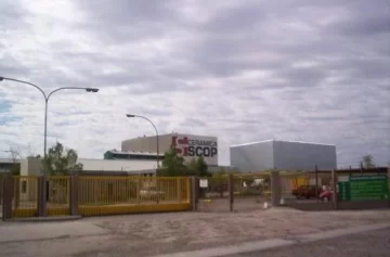 Por casos sospechosos, testearán a todo el personal de la Cerámica San Lorenzo Por casos sospechosos, testearán a todo el personal de la Cerámica San Lorenzo