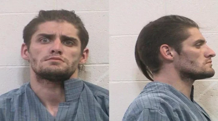 Violó a un caballo y dio una insólita justificación Violó a un caballo y dio una insólita justificación