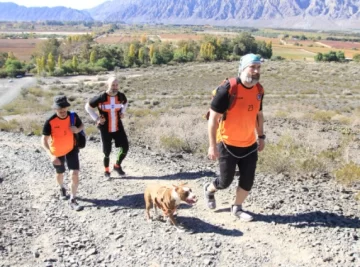 Liberaron a la mujer que mató a su pareja en Ullum: esperará el juicio fuera de la cárcel