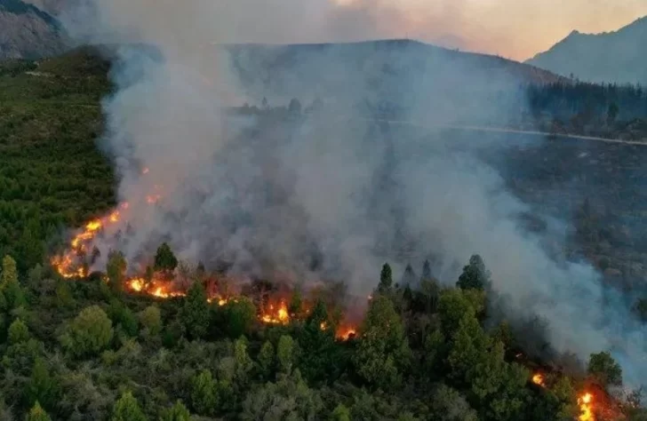 Un incendio cerca de El Bolsón ya arrasó con 6.500 hectáreas Un incendio cerca de El Bolsón ya arrasó con 6.500 hectáreas