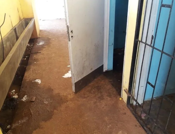 Grabaron cómo violaron en manada a la hermana de un amigo Grabaron cómo violaron en manada a la hermana de un amigo