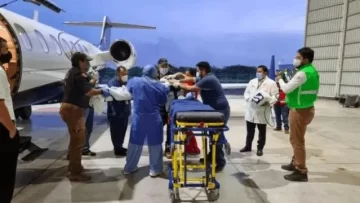 Quisieron matar a un perro con pan envenenado, pero lo comieron dos hermanitos: uno murió y el otro está grave Quisieron matar a un perro con pan envenenado, pero lo comieron dos hermanitos: uno murió y el otro está grave