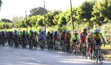 Si es Tivani, es bueno Si es Tivani, es bueno