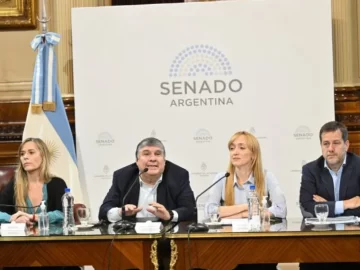 El kirchnerismo presentó un proyecto para una nueva moratoria jubilatoria El kirchnerismo presentó un proyecto para una nueva moratoria jubilatoria