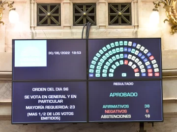 El Senado dio media sanción al proyecto de moratoria previsional El Senado dio media sanción al proyecto de moratoria previsional