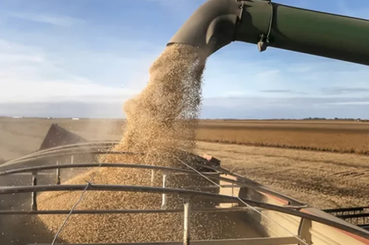 El BCRA creó un nuevo tipo de cambio para  los productores de soja