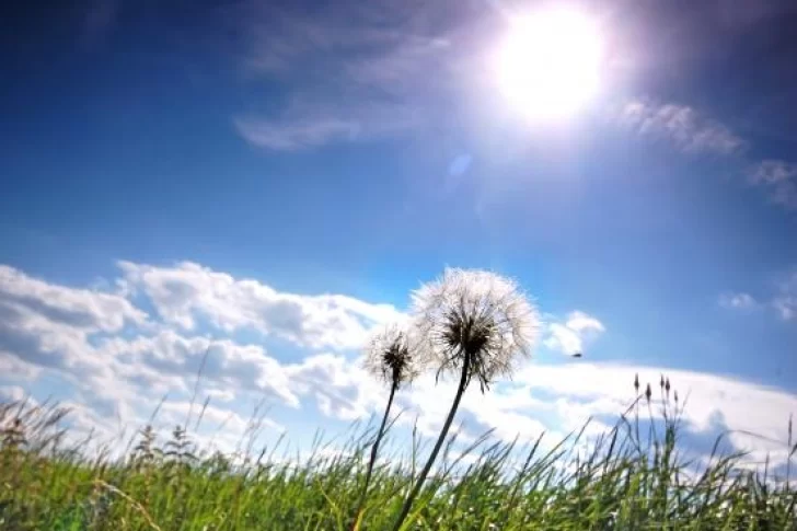 Viernes con mucho calor en el día y viento y tormentas por la noche