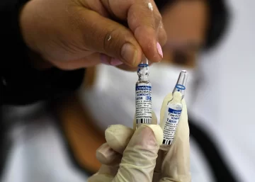 El 74,2% de los sueros de personas vacunadas con Sputnik V pudo neutralizar Ómicron El 74,2% de los sueros de personas vacunadas con Sputnik V pudo neutralizar Ómicron