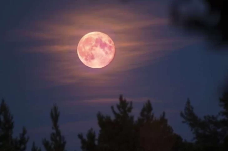 Qué es la superluna rosa de abril y cuándo se podrá ver en Argentina