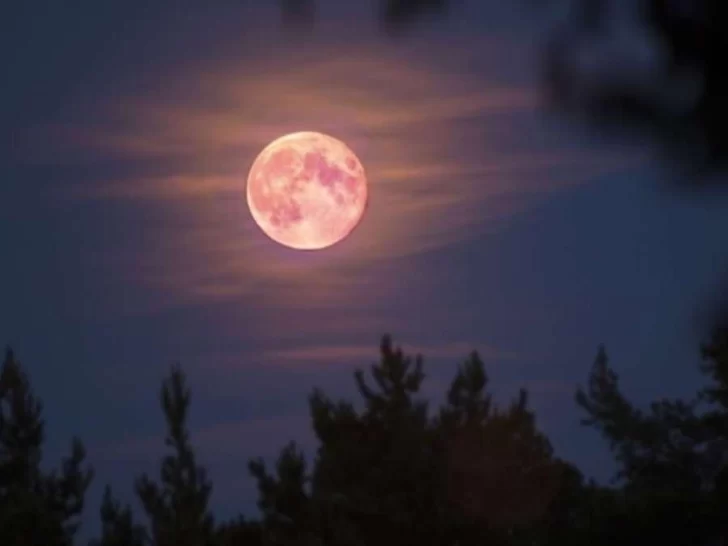 Qué es la superluna rosa de abril y cuándo se podrá ver en Argentina