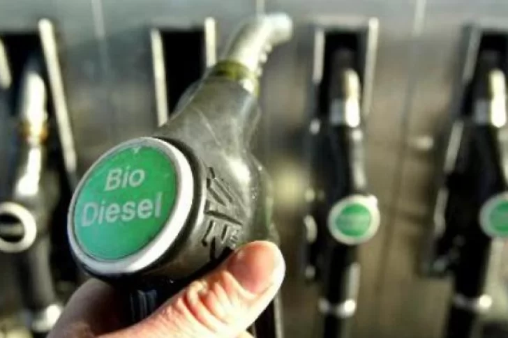 El Gobierno nacional autorizó aumentos en el precio del biodiesel