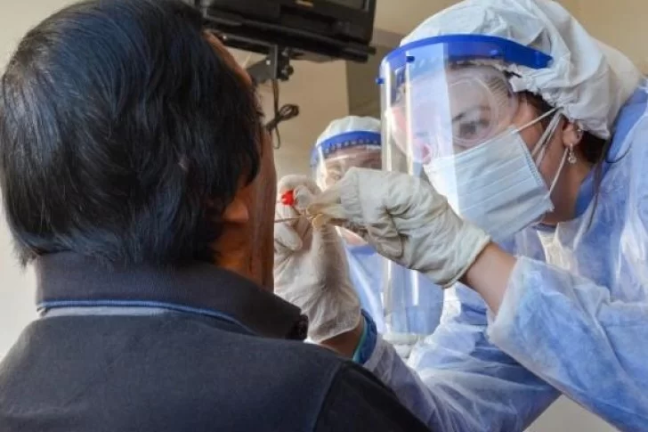 Aseguran que lograron reducir a 48 horas el tiempo de entrega del resultado de las PCR