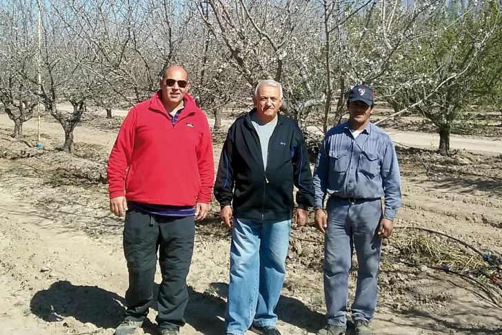 Experimentan un nuevo sistema de defensa contra heladas en almendros