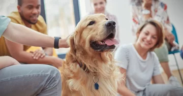 Mascotas terapéuticas: la importancia de la restitución de los vínculos con los afectos durante una internación Mascotas terapéuticas: la importancia de la restitución de los vínculos con los afectos durante una internación