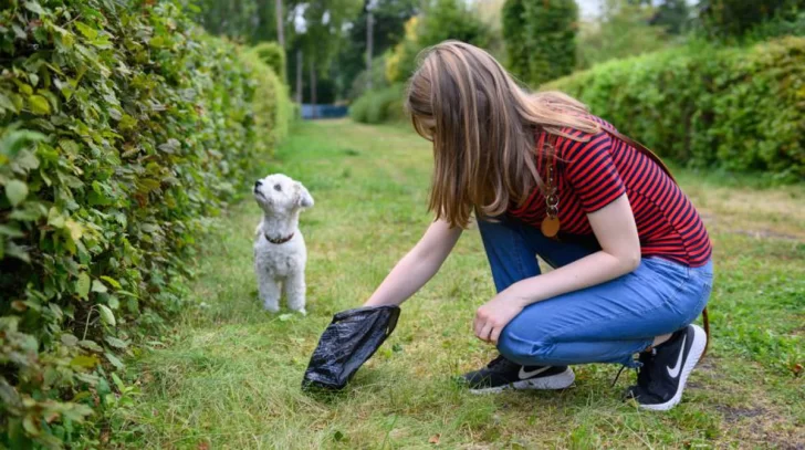 Multaron a una mujer que no levantó la caca de su perro tras averiguar su ADN Multaron a una mujer que no levantó la caca de su perro tras averiguar su ADN