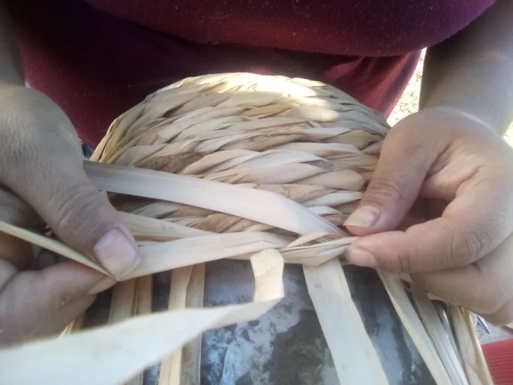 Totora, la materia prima sanjuanina que resiste Totora, la materia prima sanjuanina que resiste