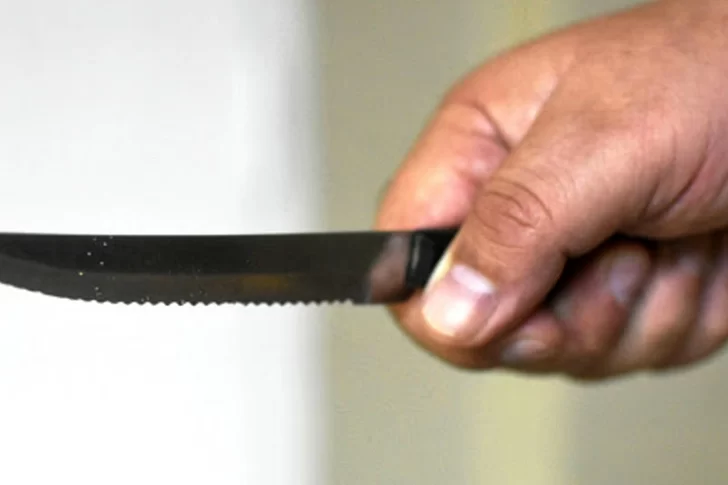 Simuló tener un arma para robar, pero el carnicero lo persiguió con un cuchillo y cayó