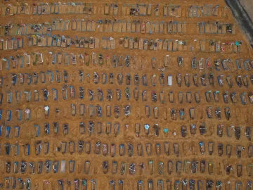 Brasil: talaron un bosque tropical para abrir cientos de tumbas