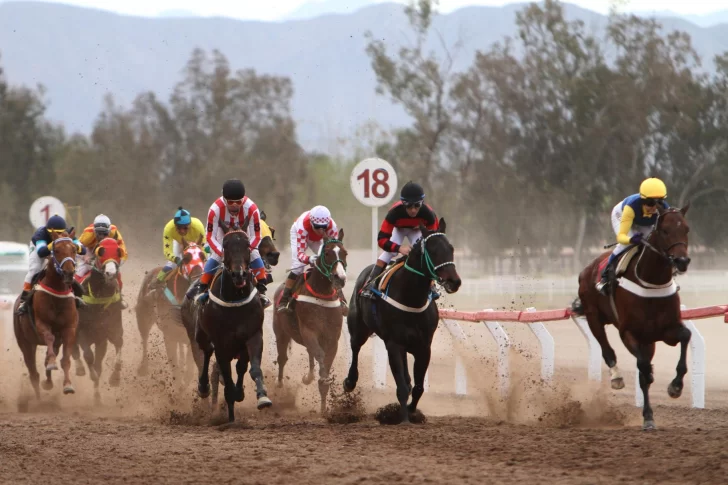 Se realizarán mañana sábado 30 test para definir si el domingo hay turf en el Jockey Club