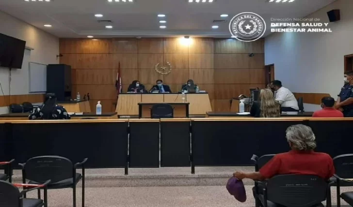 Arrancó el histórico juicio a un hombre acusado de abusar de una gallina Arrancó el histórico juicio a un hombre acusado de abusar de una gallina