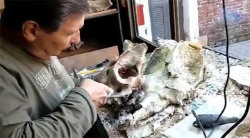 Descubren un centenar de fósiles de animales prehistóricos en San Pedro Descubren un centenar de fósiles de animales prehistóricos en San Pedro