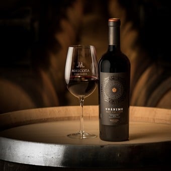 Ocho vinos argentinos fueron premiados en prestigioso concurso en Francia Ocho vinos argentinos fueron premiados en prestigioso concurso en Francia