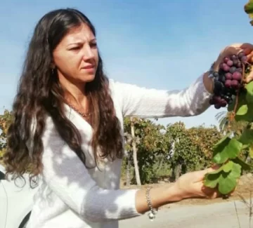 Soluciones biológicas y beneficios bajo el suelo Soluciones biológicas y beneficios bajo el suelo