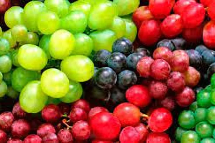 Uva: dicen que es más rentable y que eso justifica una baja en las retenciones