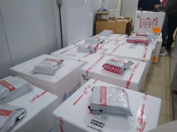 Sputnik V: todavía no hay fecha del vuelo que traerá las próximas dosis Sputnik V: todavía no hay fecha del vuelo que traerá las próximas dosis