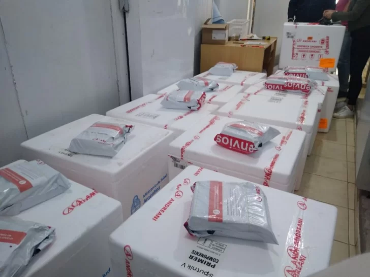 Sputnik V: todavía no hay fecha del vuelo que traerá las próximas dosis Sputnik V: todavía no hay fecha del vuelo que traerá las próximas dosis