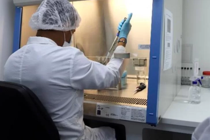 Analizan la variante “Mu” del coronavirus: podría ser resistente a las vacunas