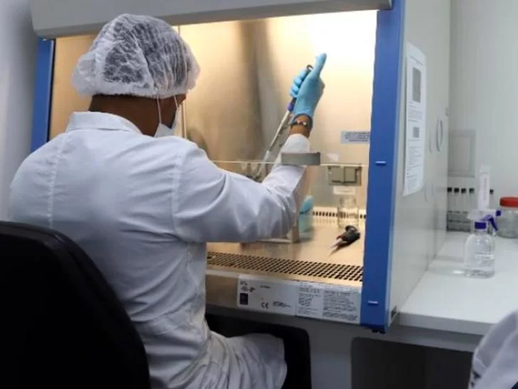 Analizan la variante “Mu” del coronavirus: podría ser resistente a las vacunas