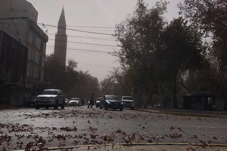 Tras el Zonda, ingresó con fuerza el viento Sur
