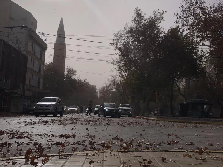 Tras el Zonda, ingresó con fuerza el viento Sur Tras el Zonda, ingresó con fuerza el viento Sur