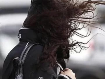 Llegó el viento Sur para hacer bajar algunos grados la temperatura Llegó el viento Sur para hacer bajar algunos grados la temperatura